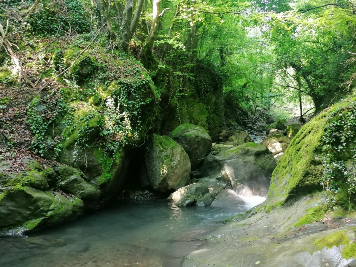 Les Pedres Vila Camprodon Exterior foto