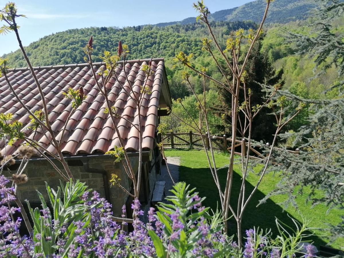Les Pedres Vila Camprodon Exterior foto