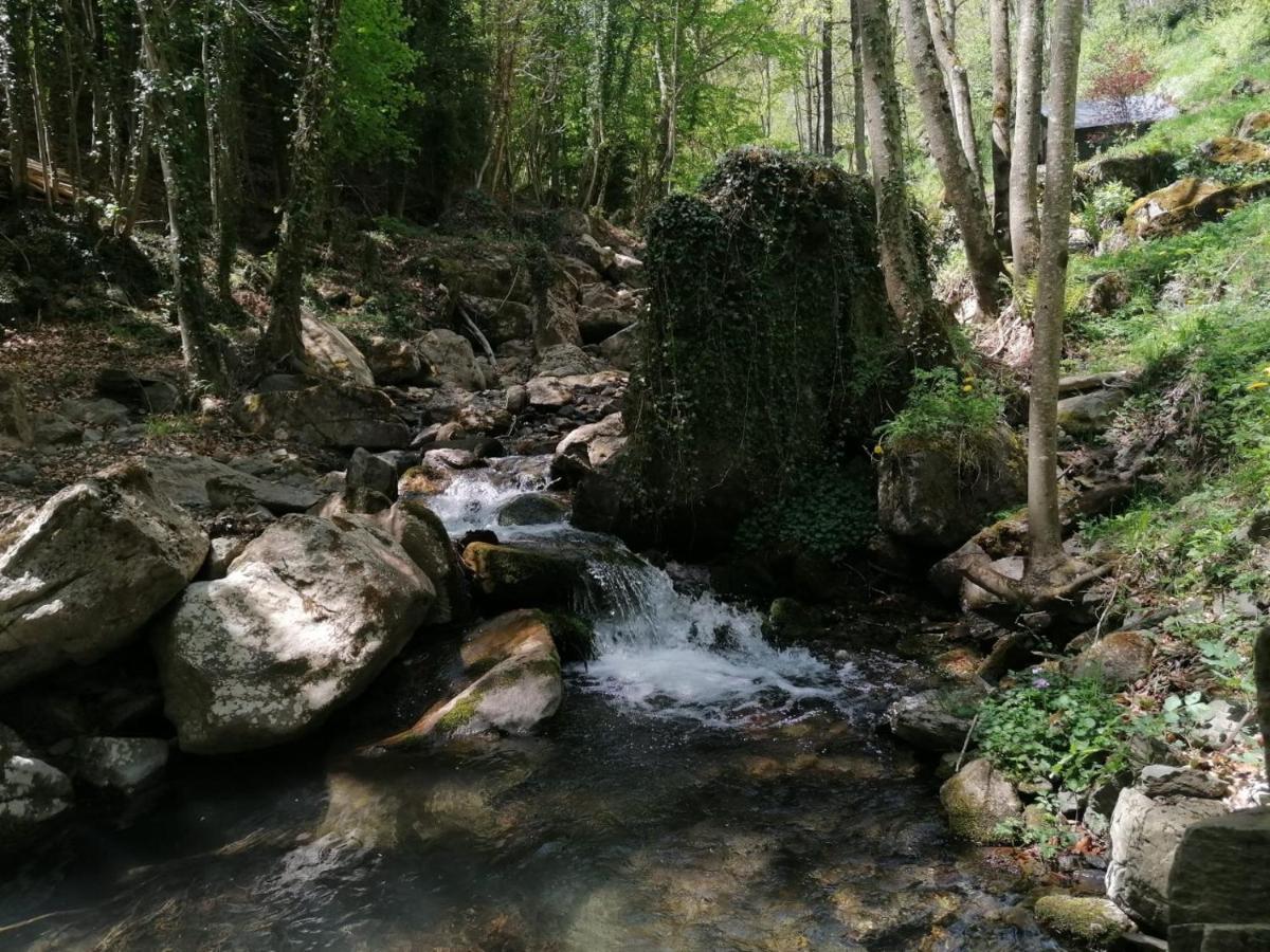 Les Pedres Vila Camprodon Exterior foto