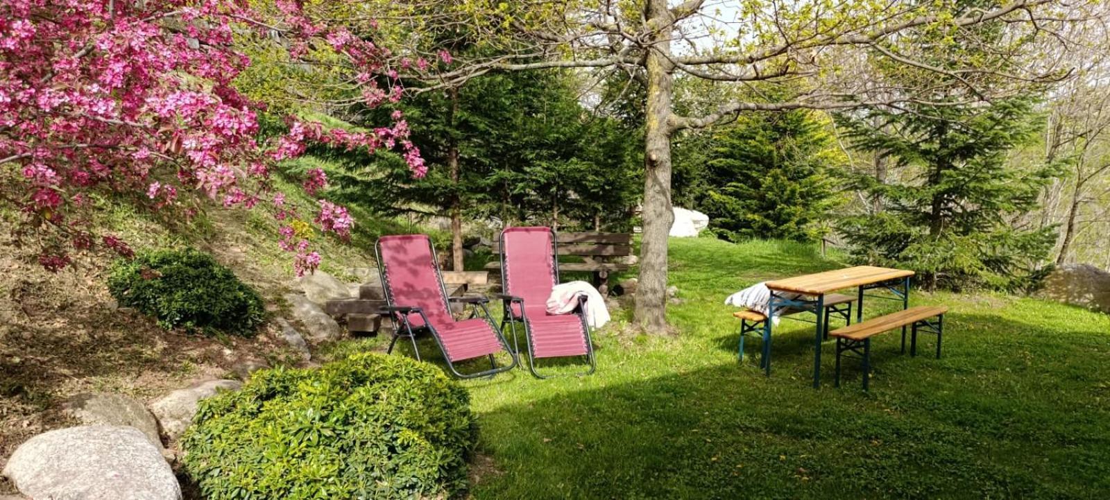 Les Pedres Vila Camprodon Exterior foto